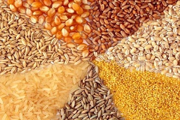 ابلاغ دستورالعمل تأمین ارز واردات نهاده‌های دامی در ازای پذیرش اوراق گام