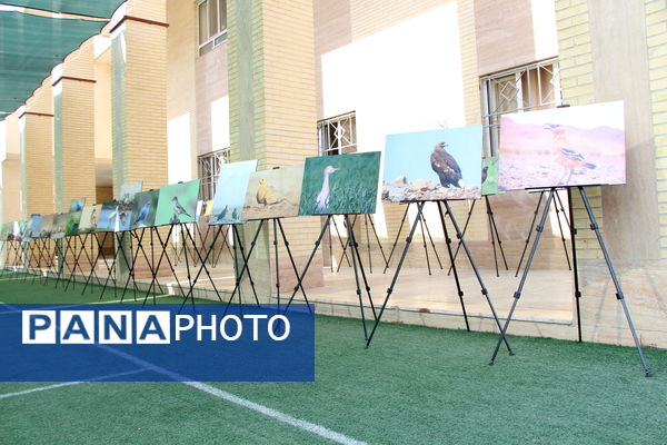 افتتاحیه سفیران سلامت در دبستان نیک اندیشان