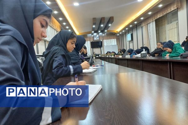 توانمندسازی همیار مشاوران مدارس ناحیه ۳ شیراز