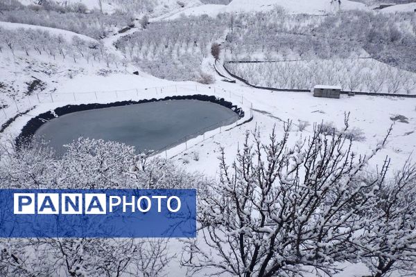 آسمان سخاوتمندانه نعمتش را در ماه شعبان به زمین شهر بار هدیه کرد
