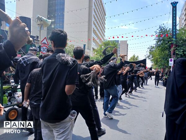 عاشورا؛ روایت دلدادگی در قاب اشک و ارادت 