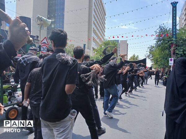 عاشورا؛ روایت دلدادگی در قاب اشک و ارادت 