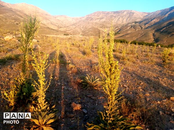 منظره ی دیدنی طبیعت کوه های شهر بار 