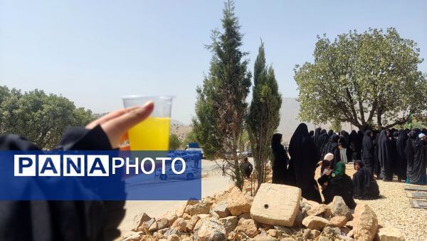 عاشورا حسینی در میانکوه