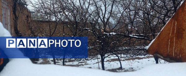 زمستان در بهار روستای استای تایباد