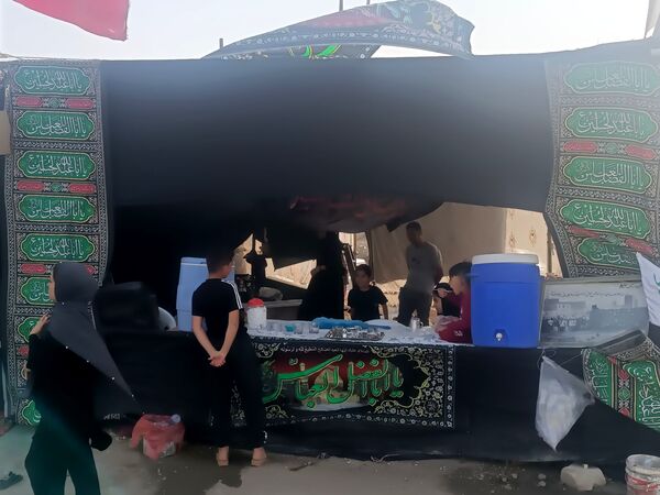 گام هایی از جنس عشق به امام رضا (ع)