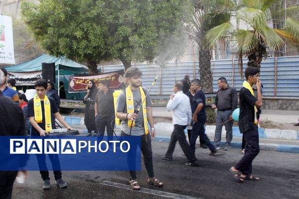 عشق حسینی در دل جنوب 