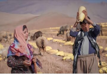 فریدون نجفی: نیاز به آموزش سینما از مدرسه آغاز می‌شود 