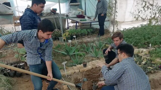 رئیس فراکسیون کشاورزی مجلس: حمایت از هنرستان‌های کشاورزی، سرمایه‌گذاری برای آینده امنیت غذایی کشور است