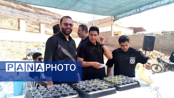 کاروان حسینی کربلای ایران در روستای علوی کاشان