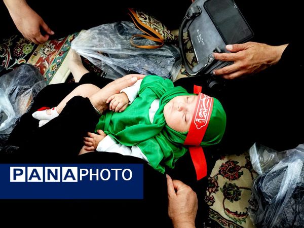 مجمع جهانی شیرخوارگان حسینی در کاشمر 