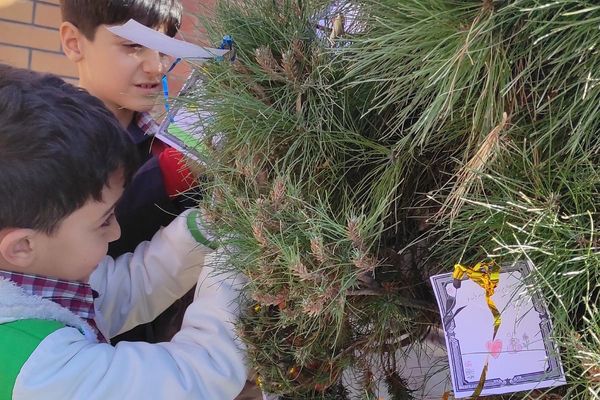 اجرای طرح «لاله‌های روشن» در دبستان شهید نوروزعلی حسینی