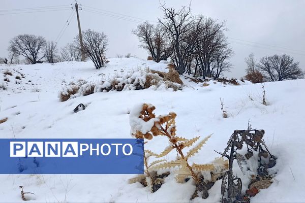بارش باران و برف زمستانی در روستای کینک