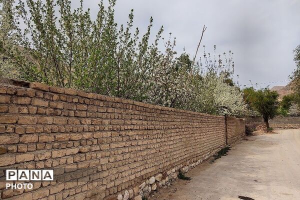 آلبوم تصویری از طبیعت زیبای شهر بار در اردیبهشت‌ماه  ۱۴۰۵ -1