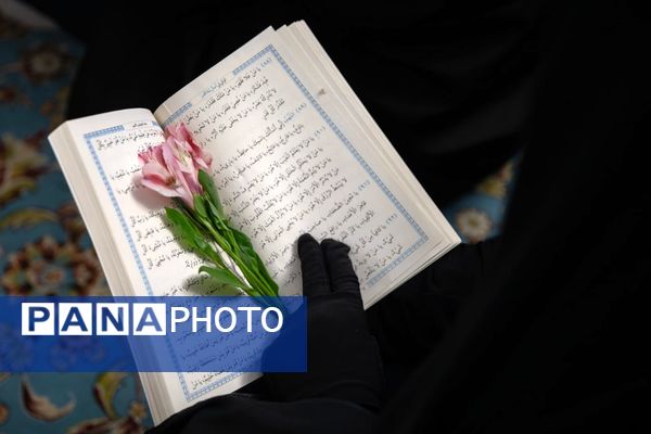 دیدار عاشقان با امام رضا(ع) در آخرین شب قدر