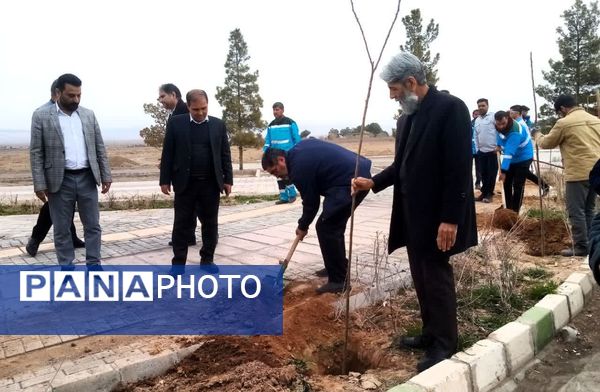 روز درختکاری در تربت جام