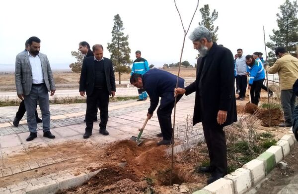 روز درختکاری در تربت جام