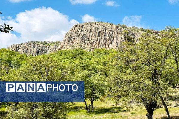 جلوه‌های بهاری طبیعت یاسوج