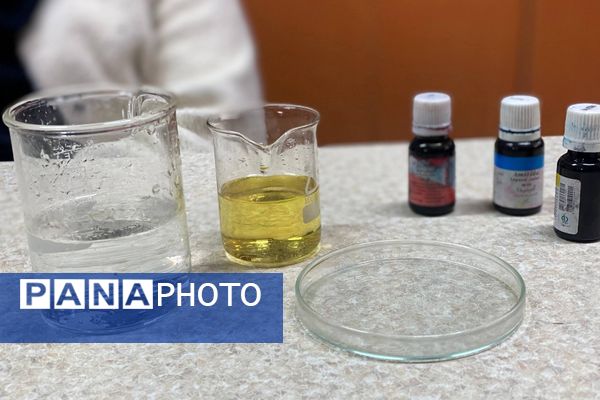 گامی در مسیر کشف حقیقت