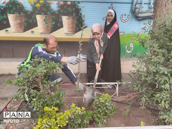 کاشت و پرورش نهال در مدرسه شاهد شهید ناصری