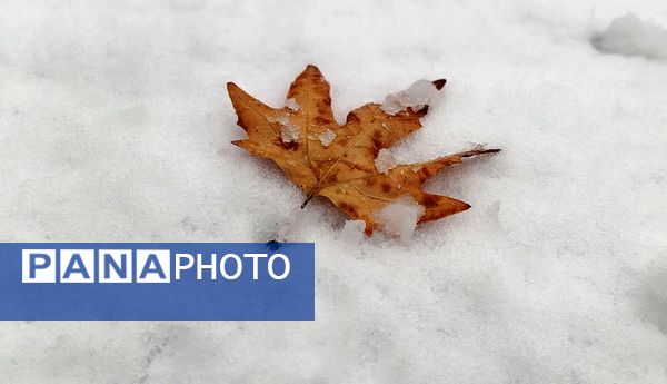 لردگان میزبان اولین برف زمستانی 