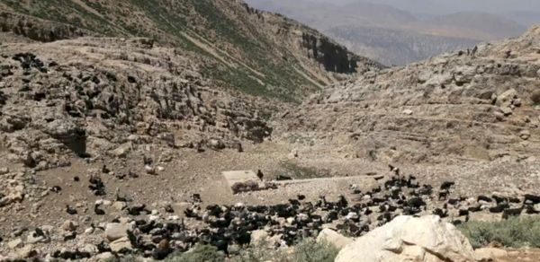  سرزمین عشق در دل سختی‌ها