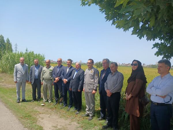 حضور معاون محیط‌ زیست دریایی و تالاب‌های سازمان حفاظت از محیط زیست در فریدونکنار