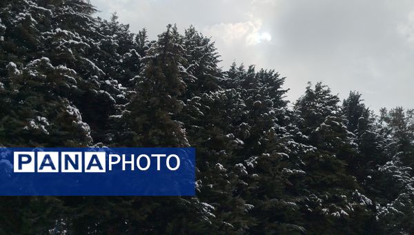 لردگان میزبان اولین برف زمستانی 