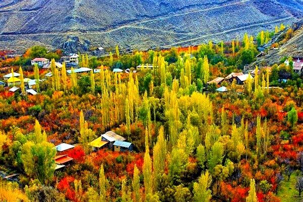 جوان‌ترین استان ایران، روایت‌هایی کهنه از شکوفایی استعدادها دارد