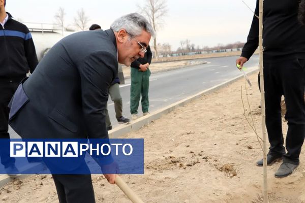 کاشت درخت به یاد شهدا در محمدشهر 