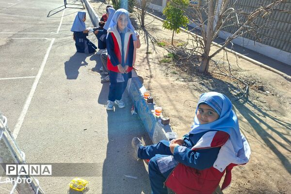 بازارچه دانش‌آموزی در دبستان ظریف کار فرد 2 شیراز