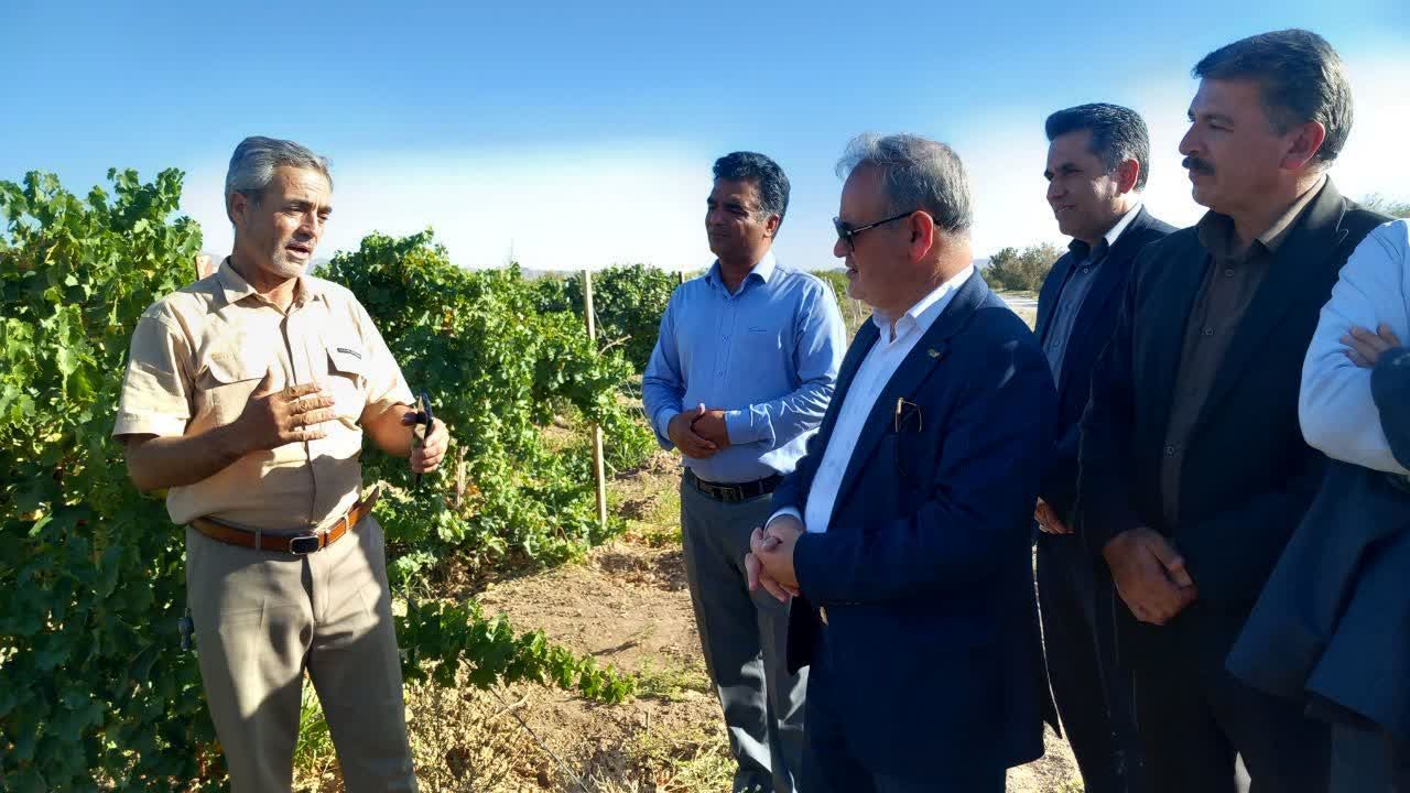 سفر معاون وزیر جهاد کشاورزی به کاشمر