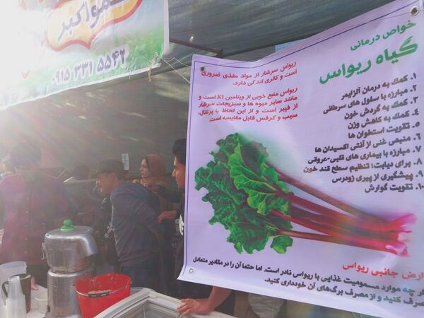 جشنواره ریواس در کوهسرخ