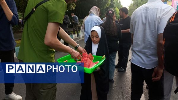 تهران در لباس سبز تولد امام رضا (ع) 