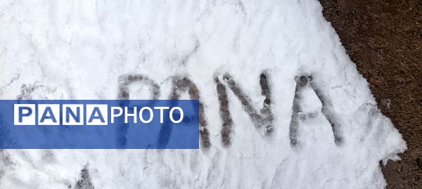 بارش دل‌انگیز برف‌ در اولین روزهای بهمن ماه