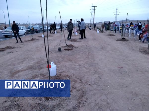 پویش مردمی درخت یادگار در یزد 