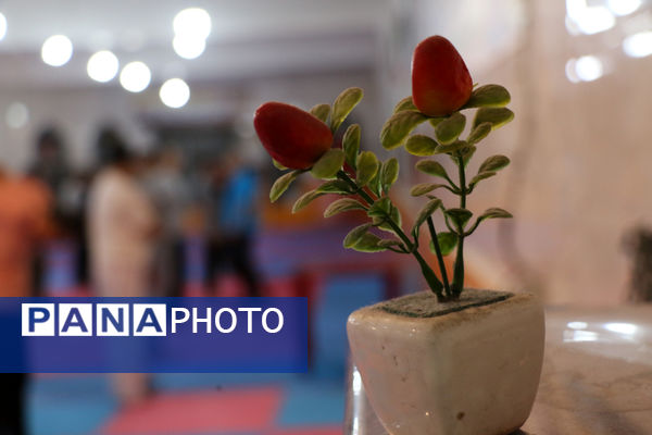 بزرگداشت پنجمین سالگرد سردار شهید سلیمانی در باشگاه ورزشی ذوالفقار قم