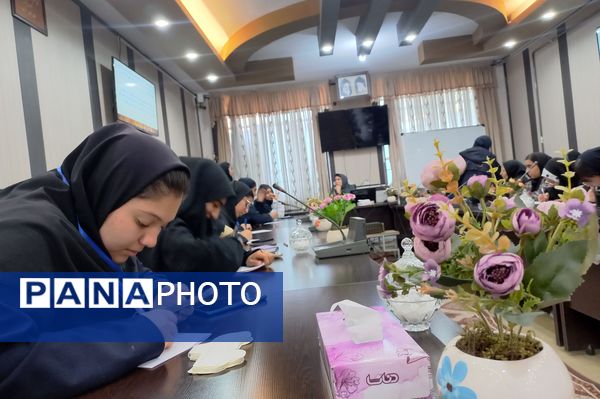 توانمندسازی همیار مشاوران مدارس ناحیه ۳ شیراز