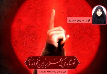 کاش می‌شد تو را قاب کرد، ای بانو