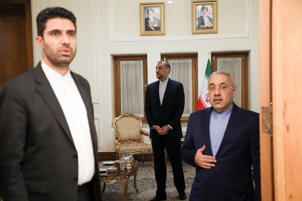 دیپلمات شهید