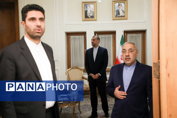 دیپلمات شهید