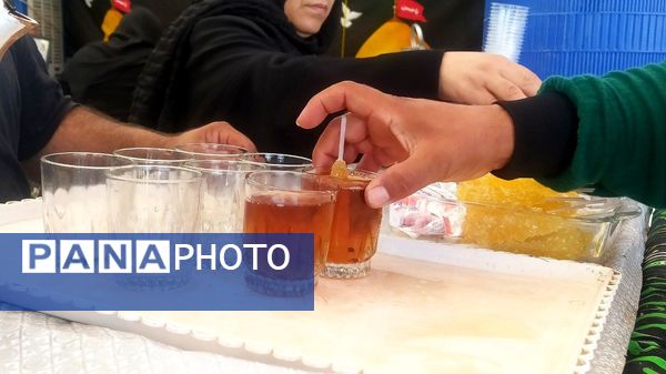 حرکت عاشقان به سوی مشهد الرضا(ع)