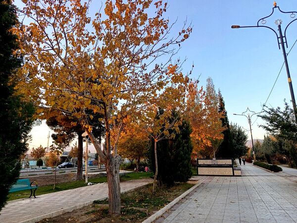 طبیعت زیبای کاشمر در پاییز