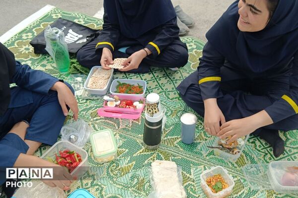  صبحانه سلامت در روز جهانی تخم مرغ