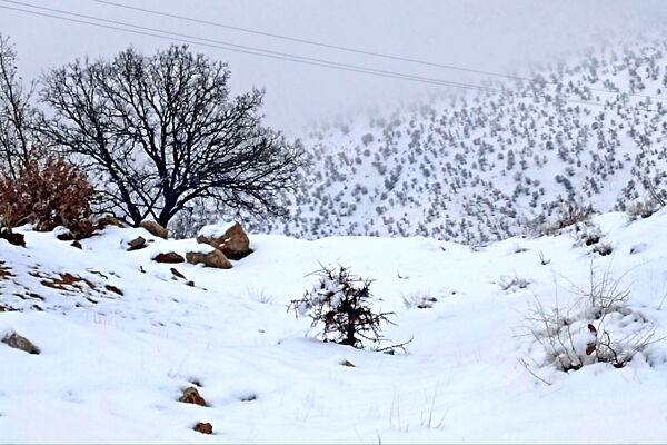 بارش باران و برف زمستانی در روستای کینک