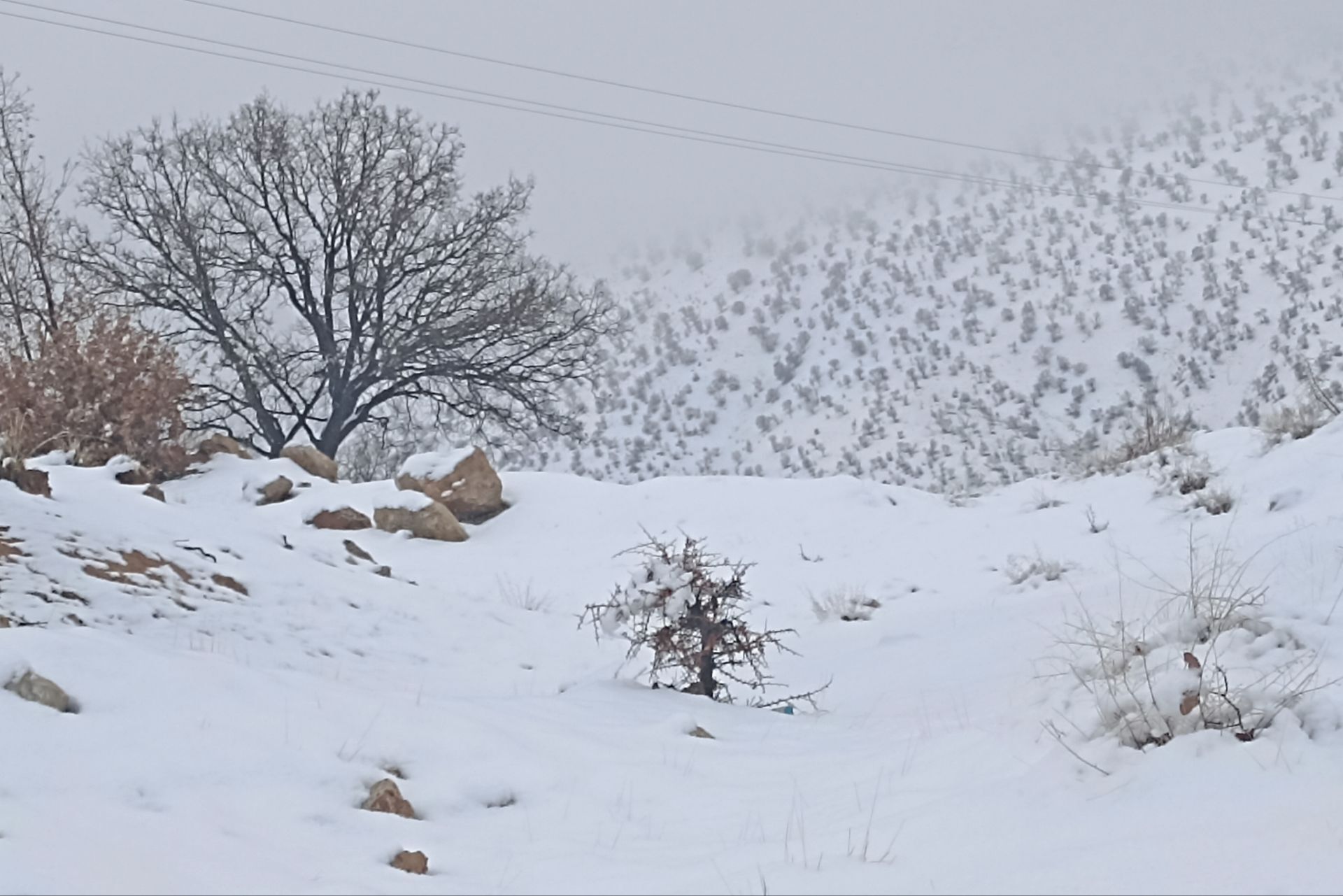 بارش باران و برف زمستانی در روستای کینک