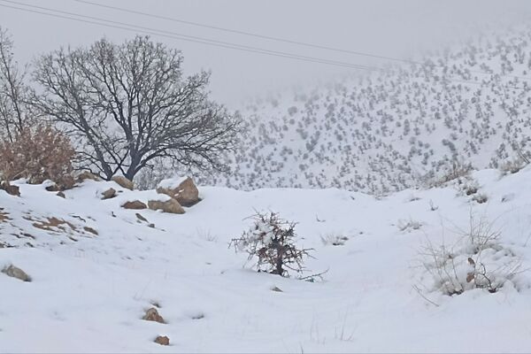 بارش باران و برف زمستانی در روستای کینک