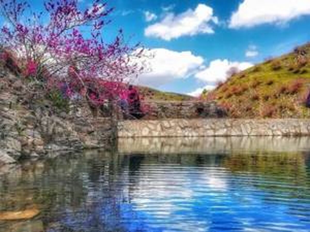 بیانیه شورای دانش‌آموزی دختران استان قم به مناسبت آغاز سال نو