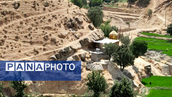 طبیعت بکر رفن در قاب‌ پانا