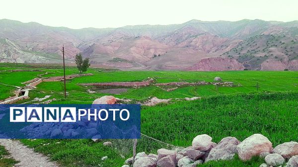 هنر در طبیعت نهفته است